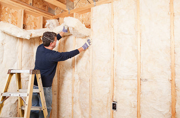 Best Attic Insulation Installation in Port Barre, LA