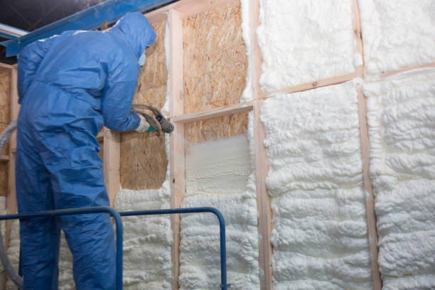 Best Spray Foam Insulation in Port Barre, LA